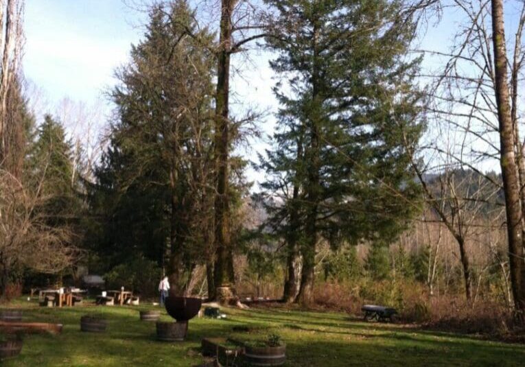 A group of people in the woods near trees.